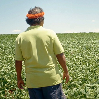 Film De la guerre froide à la guerre verte 