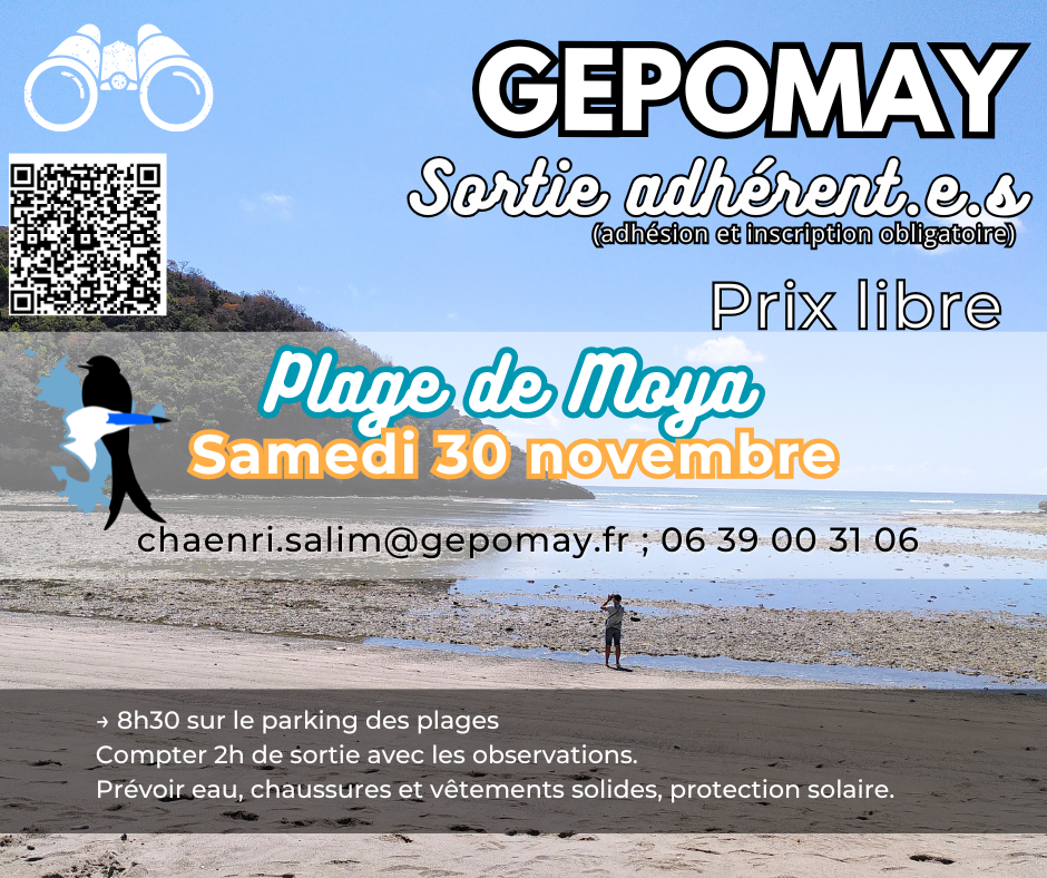 Sortie adhérents 30 novembre 2024 - Plage de Moya Affiche