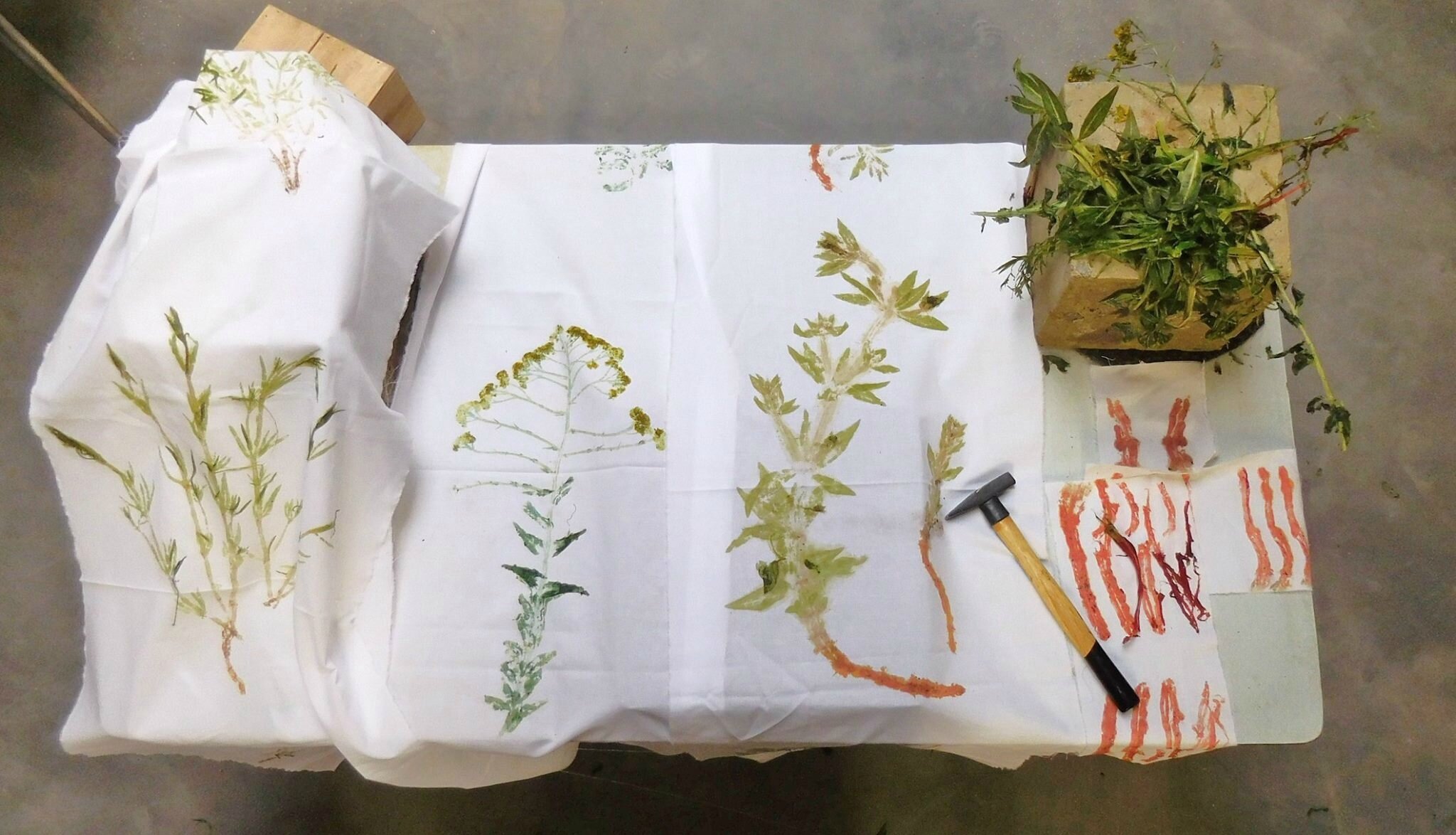 Tataki-Zomé Textile Végétaux