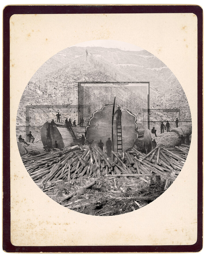 David Ellingsen David Ellingsen