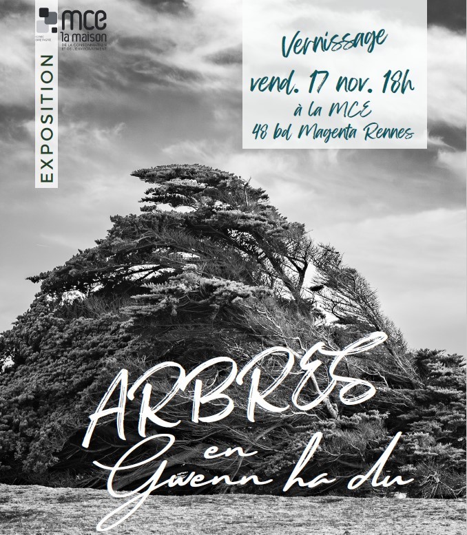 Arbres en Gwenn ha du Arbres en Gwenn ha du