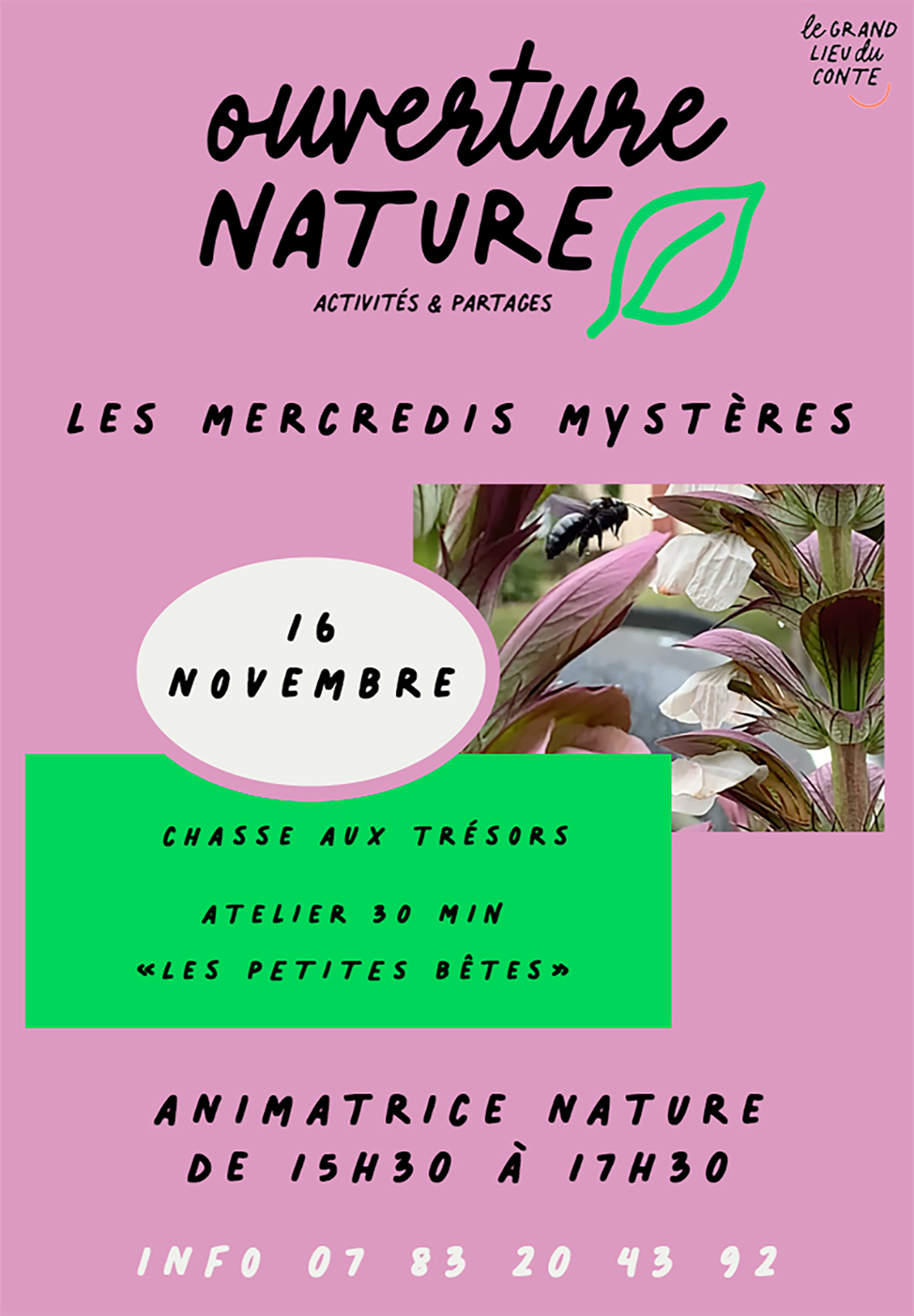 Les Petites Bêtes Les Petites Bête Jeu Rallye Nature