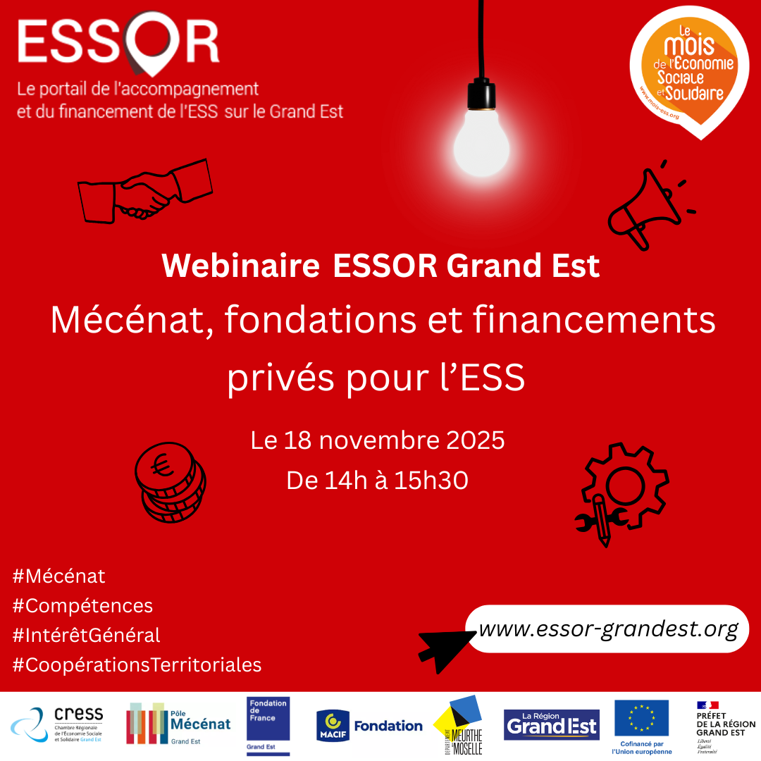 Visuel webinaire ESSOR : Mécénat, fondations et financements privés pour l'ESS
