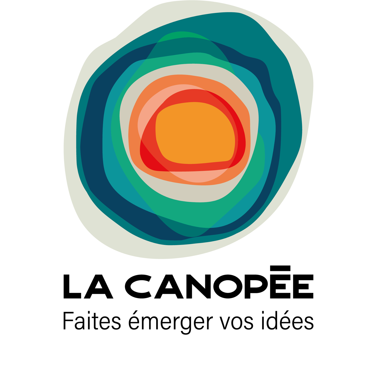 Visite de la Canopée