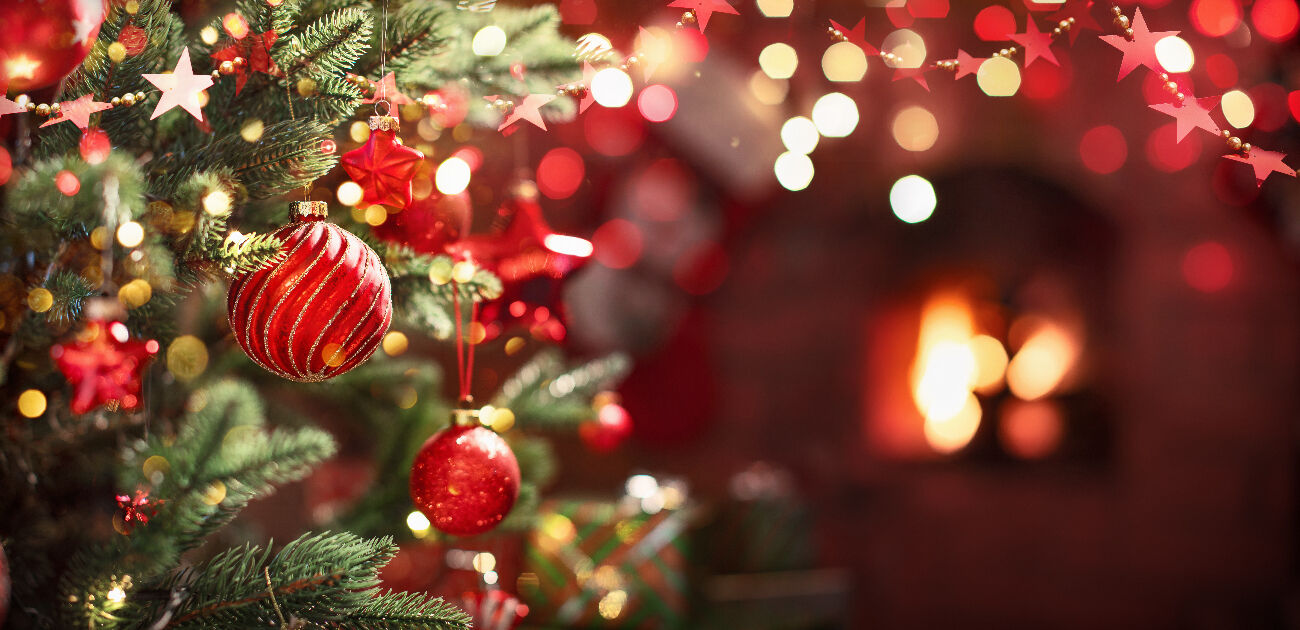 Vente Spéciale : Noël Noël