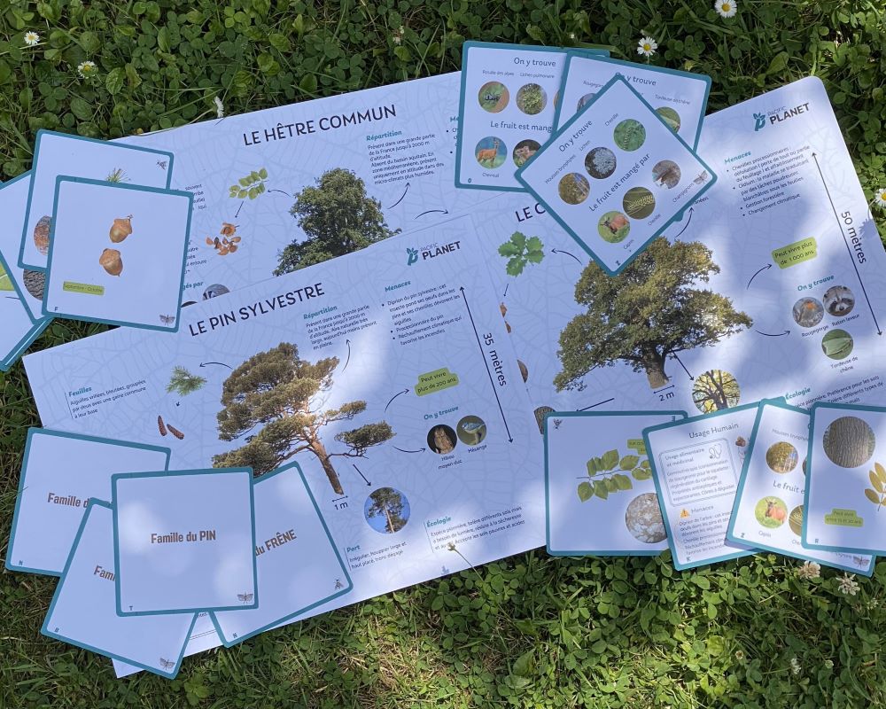 Le secret des arbres Le secret des arbres