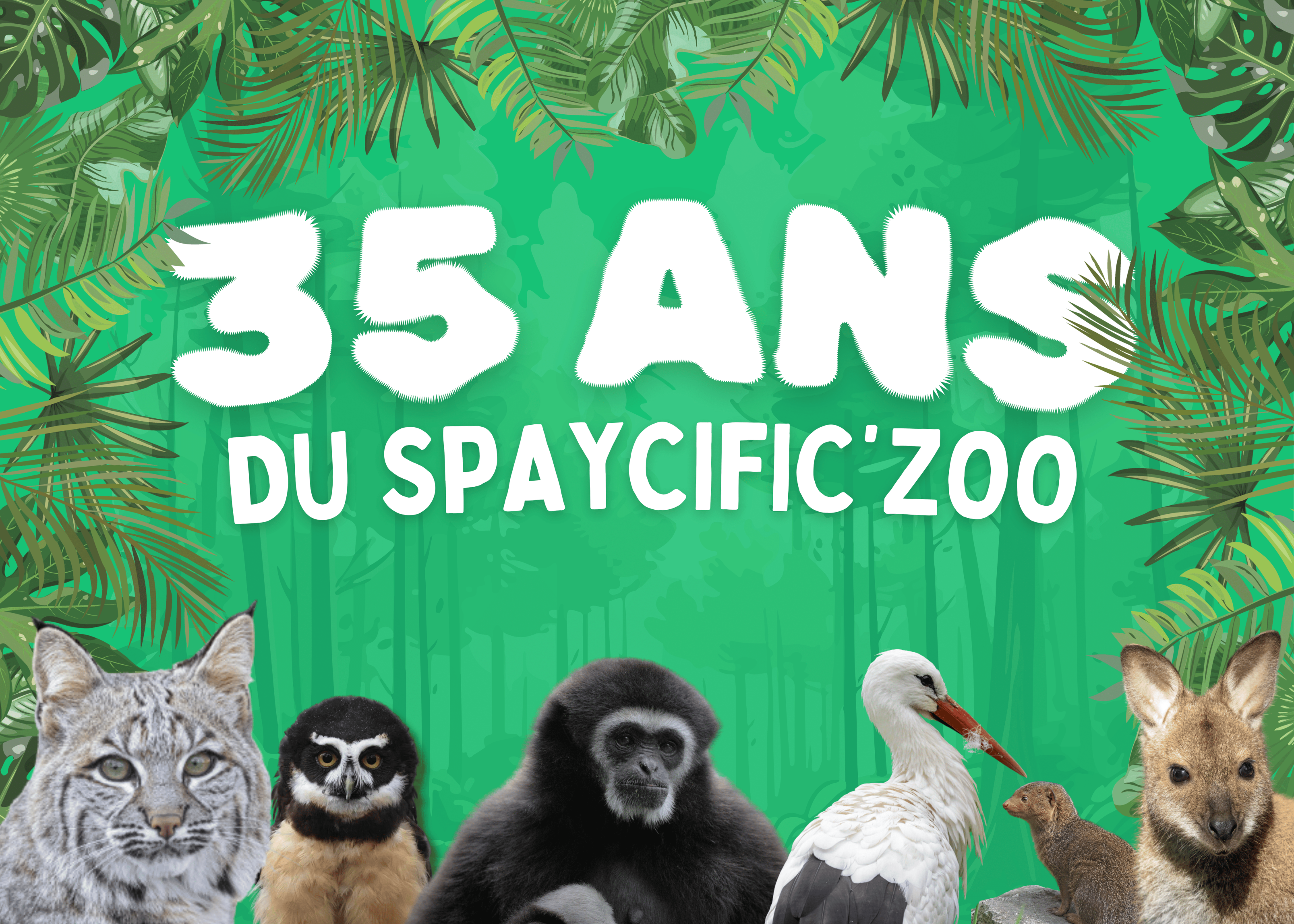 35 ans du Spaycific'Zoo "le Zoo différent" 35 ans du Spaycific'Zoo "le Zoo différent"