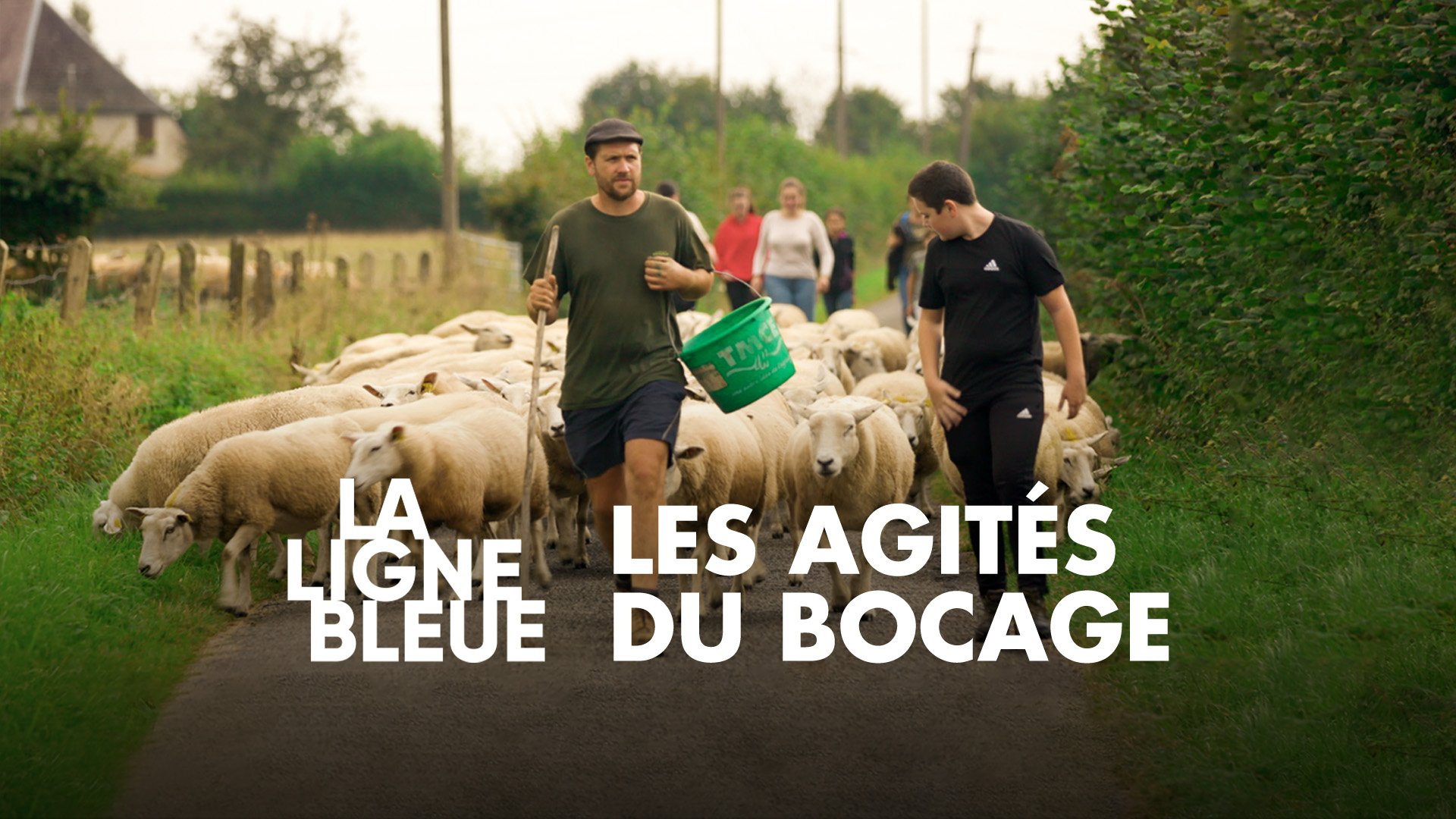 Les agités du bocage Les agités du bocage