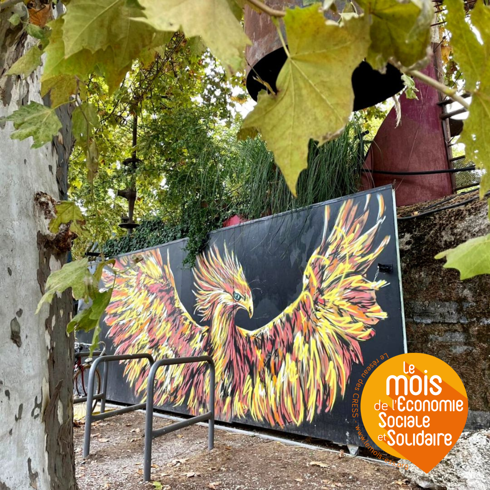 mur graphé avec un phénix