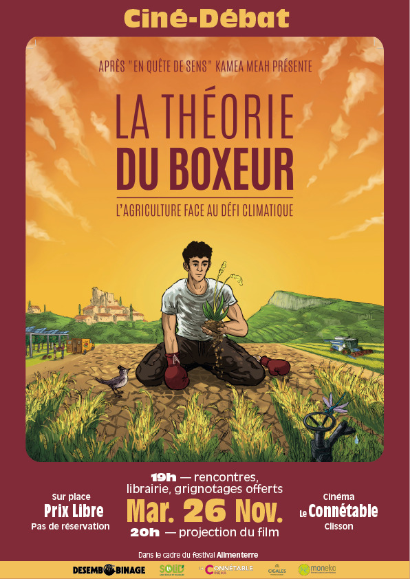 Affiche LA THEORIE DU BOXEUR