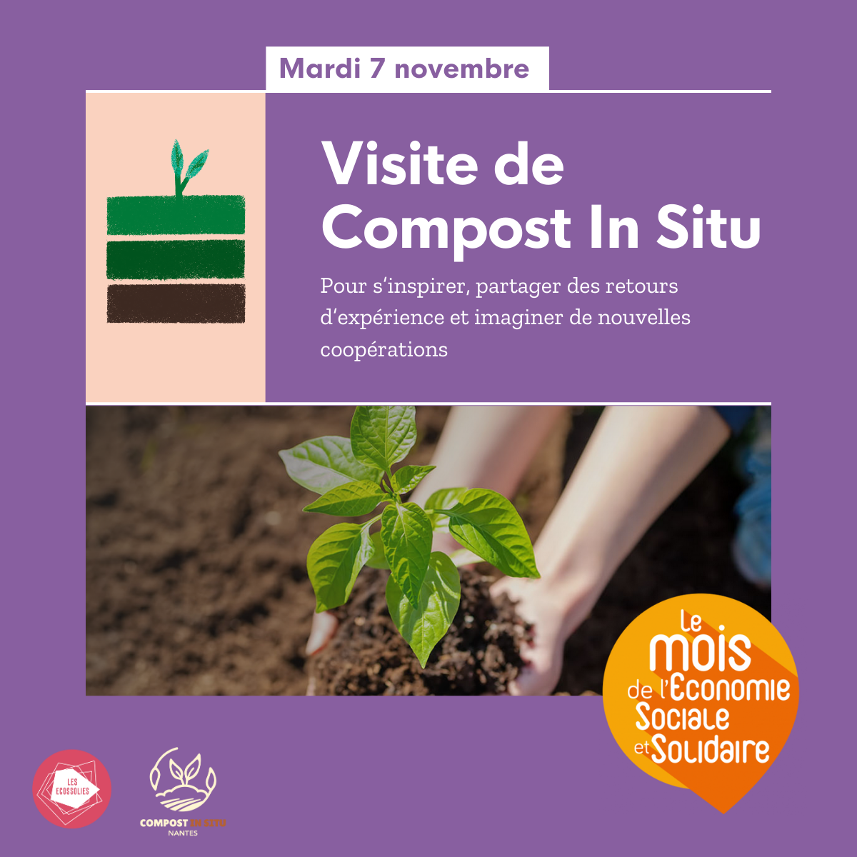 Visite de compost in situ Visite de compost in situ