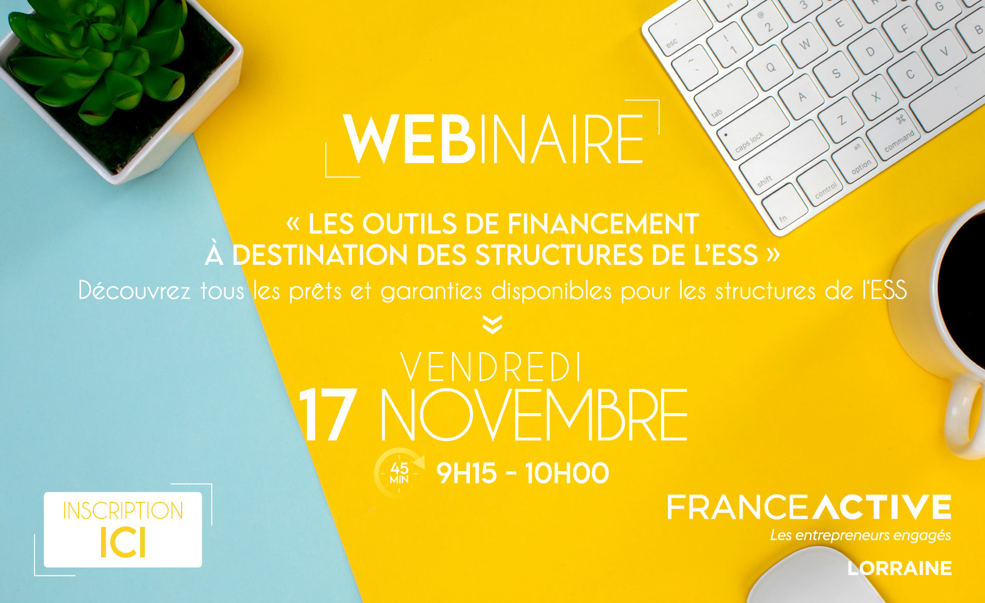 Webinaire pour les pros