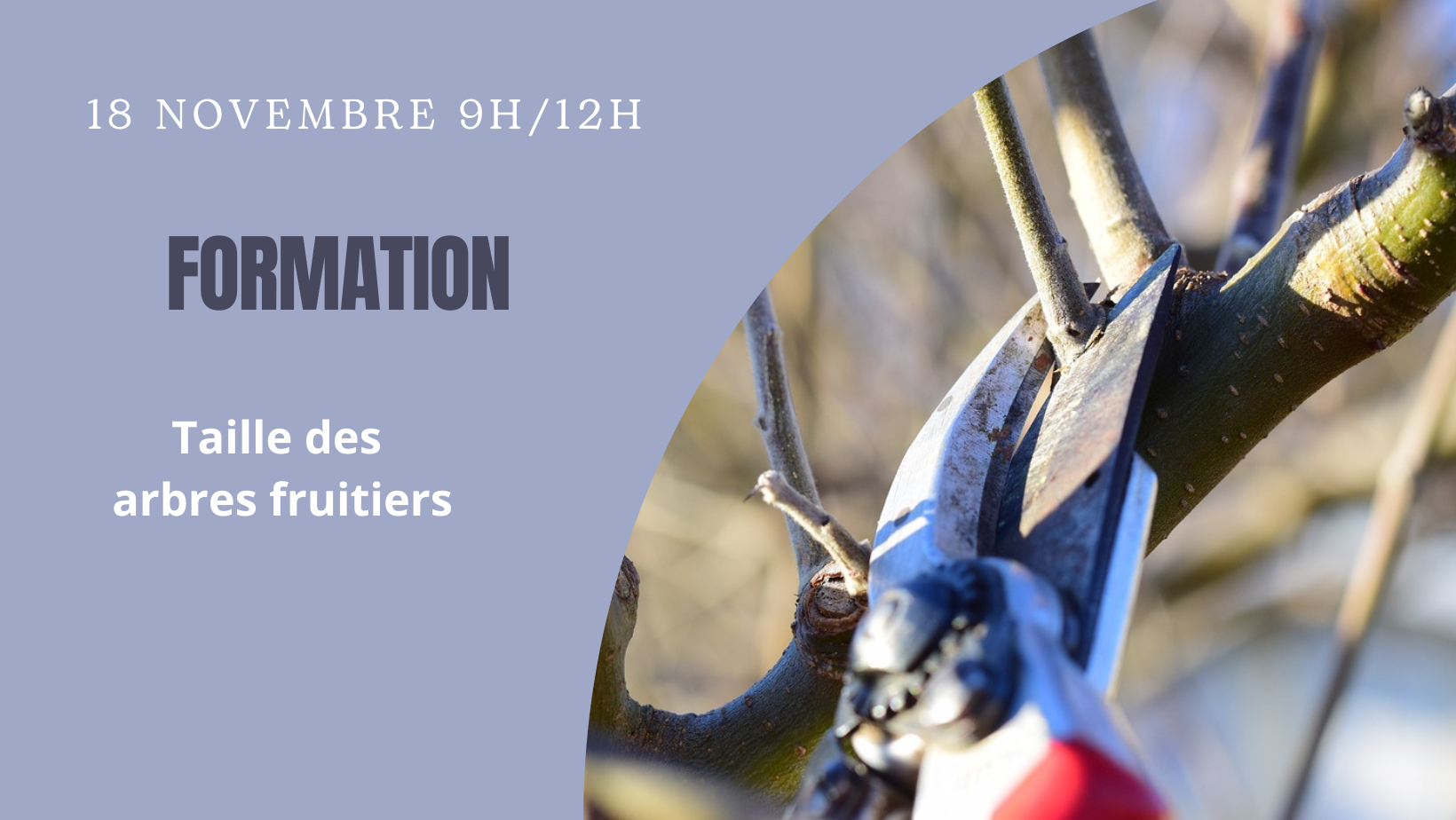 visuel taille des fruitiers