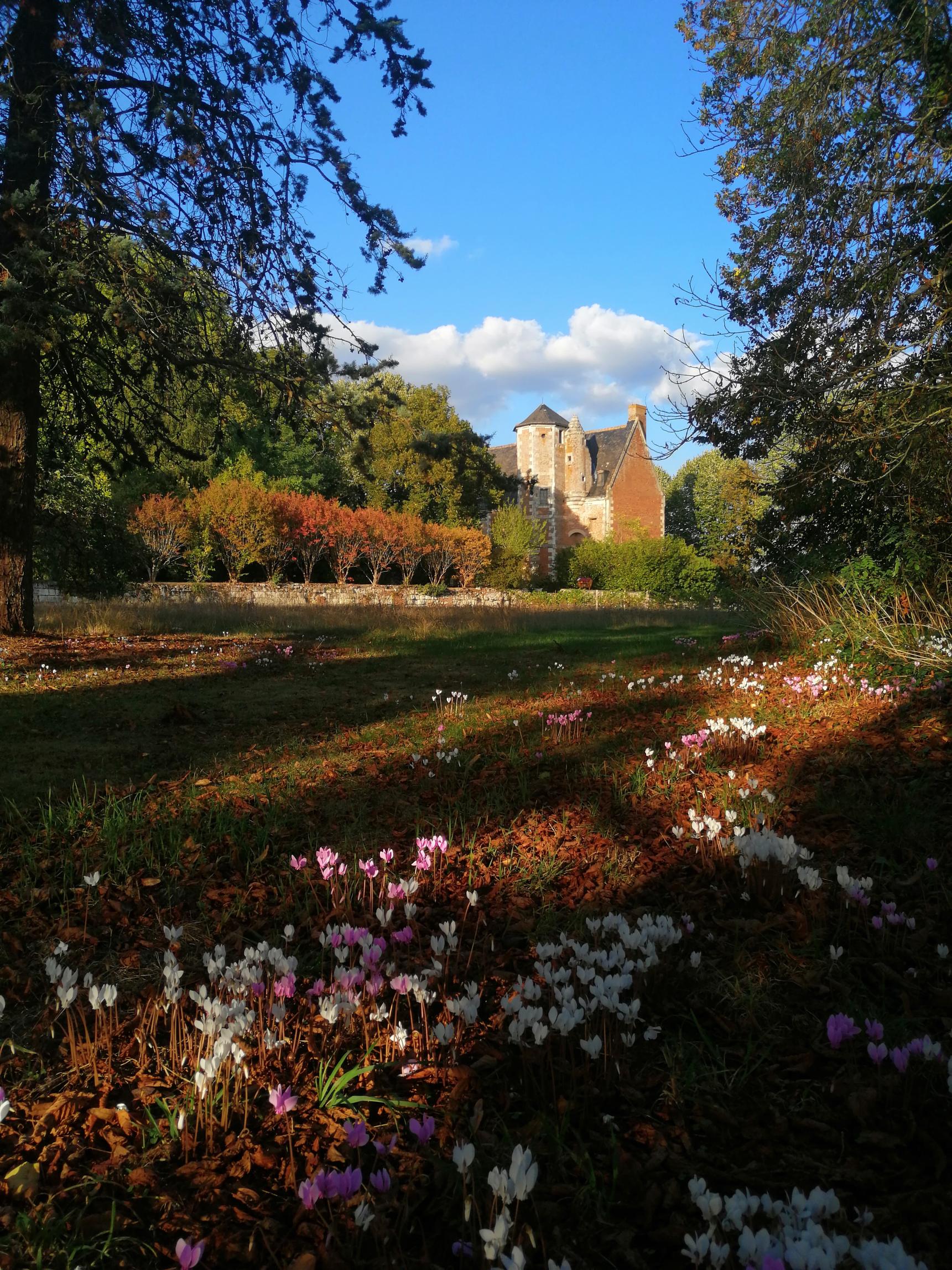 Château du Plessis 