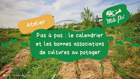 Atelier : Calendrier et bonnes associations de cultures Jardin des mille pas