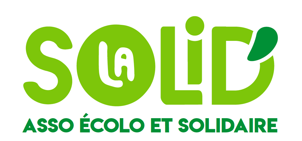 logo la solid'