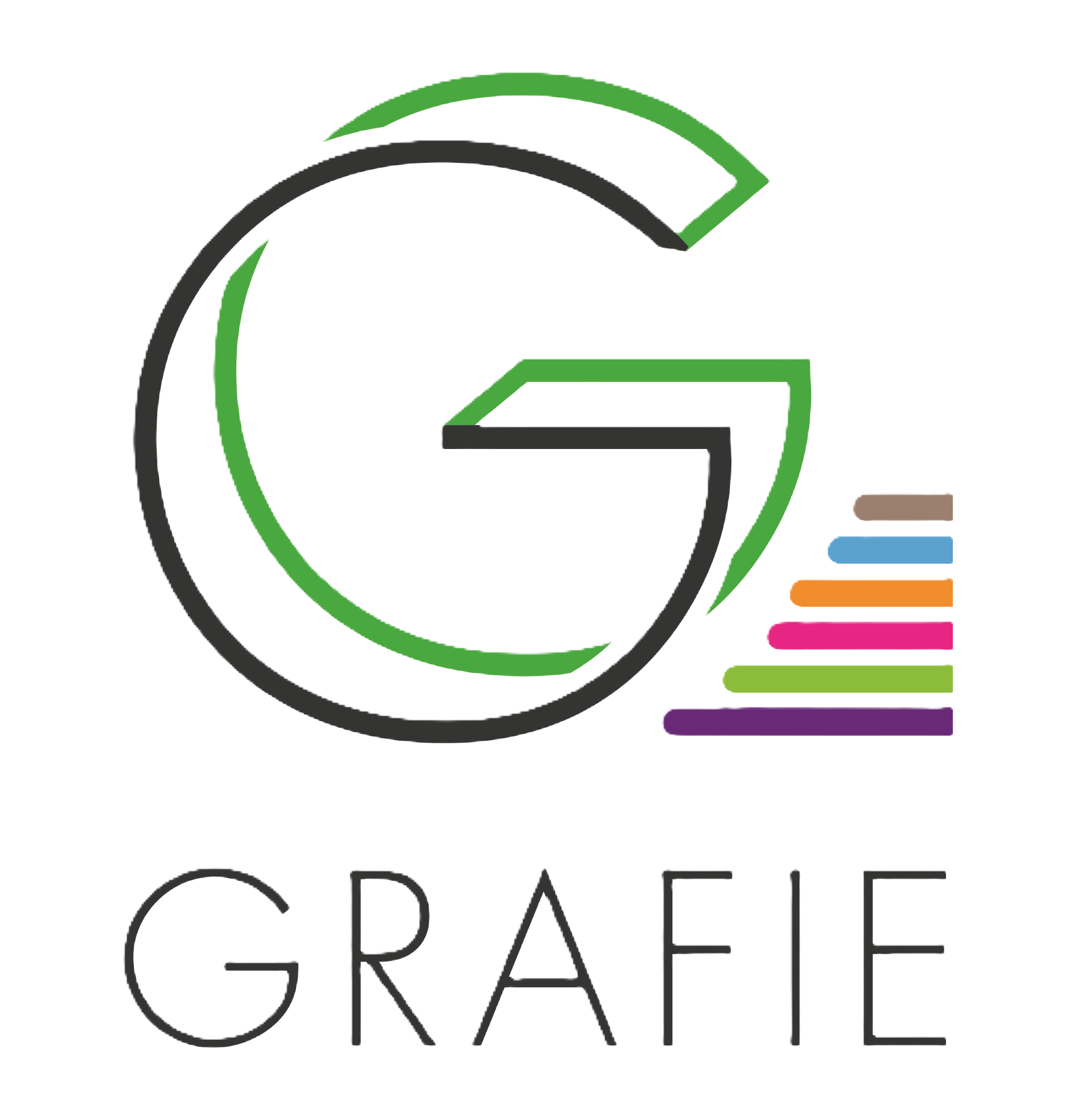 GRAFIE : Groupement Régional des Acteurs Franciliens de l’Insertion par l’Economique GRAFIE : Groupement Régional des Acteurs Franciliens de l’Insertion par l’Economique