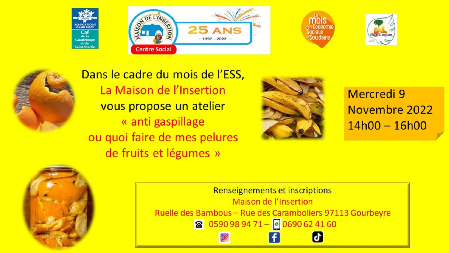 Dans le cadre du mois de l’ESS, La Maison de l’Insertion vous propose un atelier « anti gaspillage ou quoi faire de mes pelures de fruits et légumes »