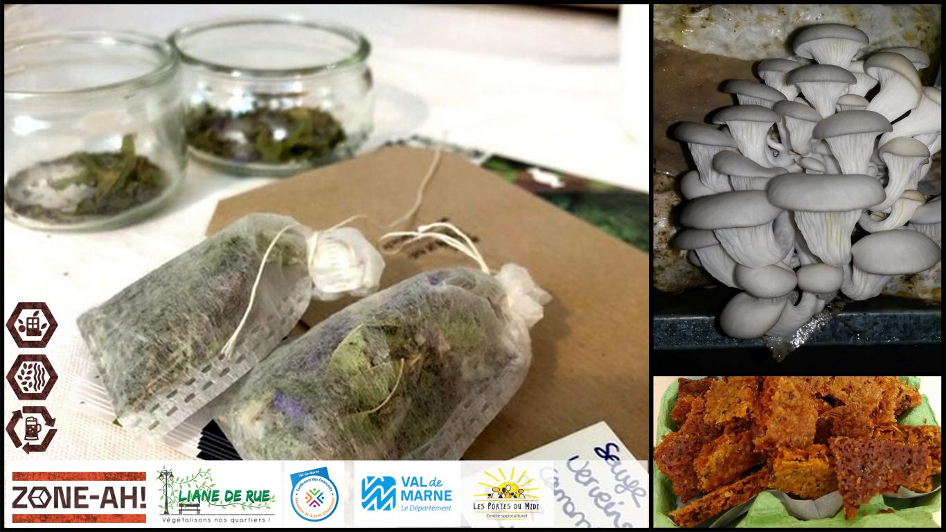 Venez préparer vos sachets de tisane lors de cet atelier, préparez des cookies antigaspi à partir de farine de drêche de bière, et apprenez à faire pousser vos pleurotes dans du marc de café par vous-même. Soupes et omelettes de qualité locale garantie ! Fabrication de tisanes maison, Culture de pleurotes grises DIY, Préparation de cookies à partir de farine de drêches de bière