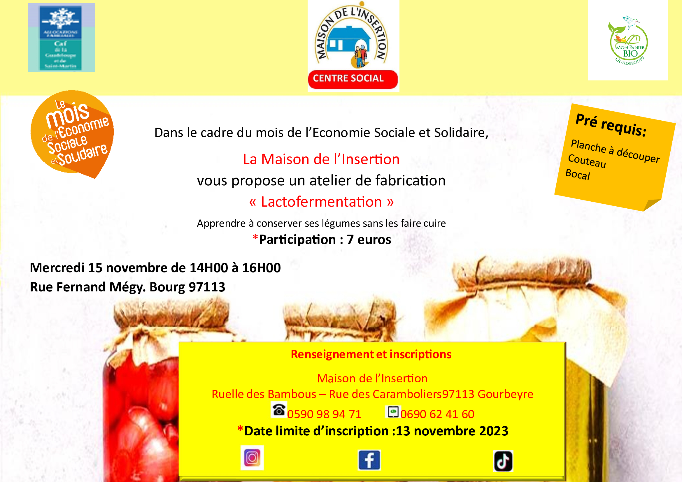 Dans le cadre du mois de l’ESS, La Maison de l’Insertion vous propose un atelier fabrication "Lactofermentation"
