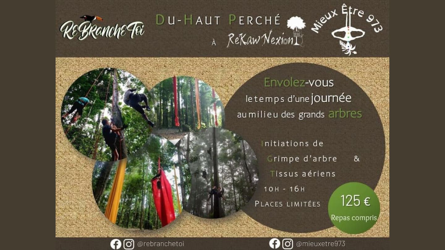 Du Haut Perché à ReKawNexion Du Haut Perché à ReKawNexion