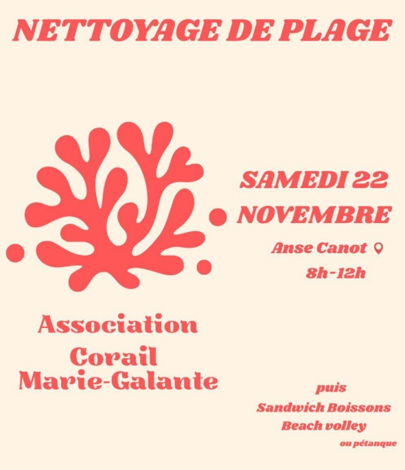 Nettoyage de plage Affiche colorée annonçant un nettoyage de plage organisé par l’Association Corail Marie-Galante. Elle indique la date (samedi 22 novembre), le lieu (Anse Canot) et l’horaire (8h à 12h). Une grande illustration de corail rouge occupe le centre, avec un texte précisant qu’après le nettoyage, il y aura des sandwichs, boissons, beach-volley ou pétanque.