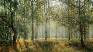 foret