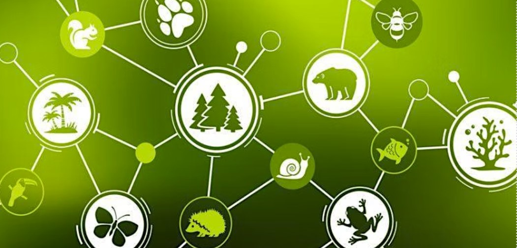 Après-midi Biodiversité Biodiversité