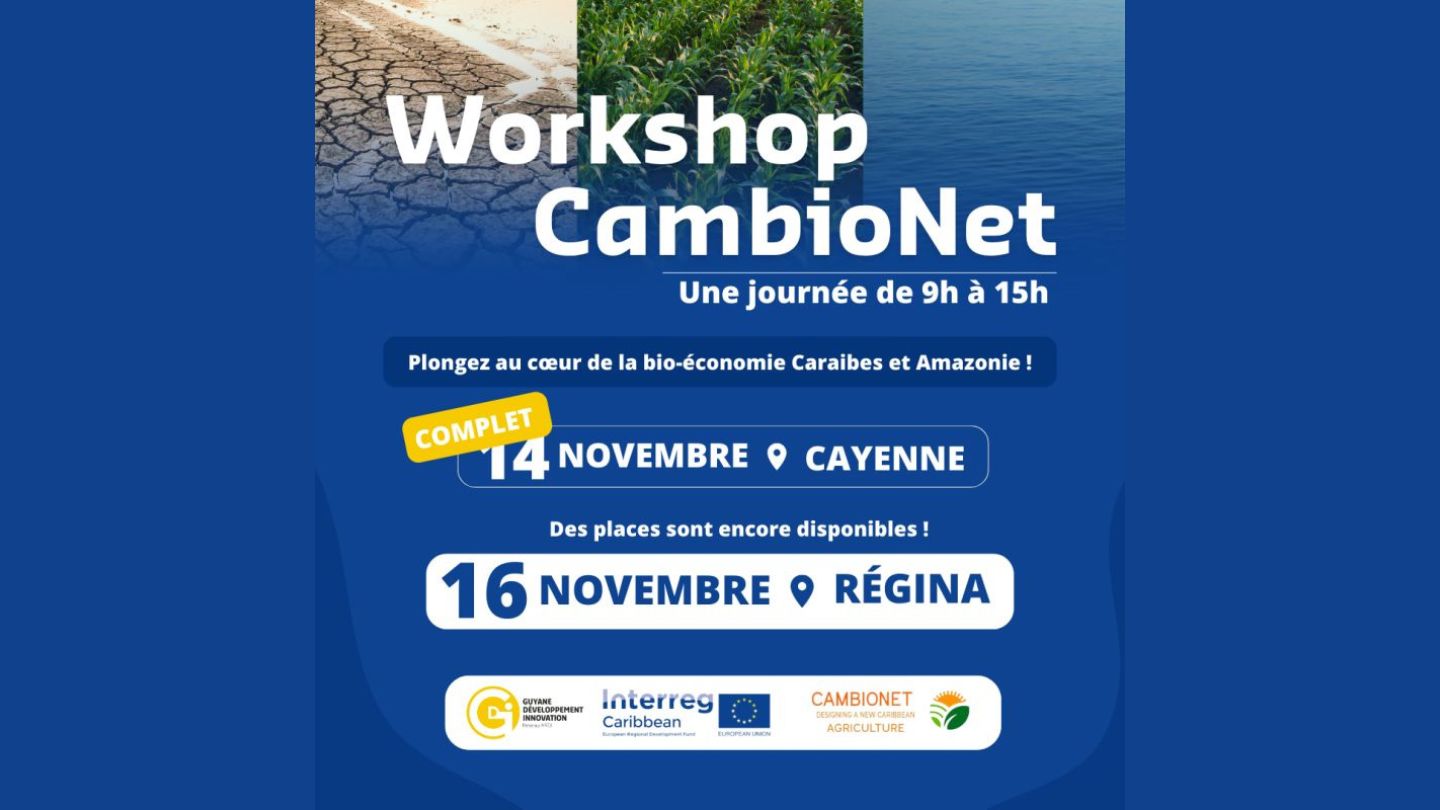 Workshop CambioNet Workshop CambioNet