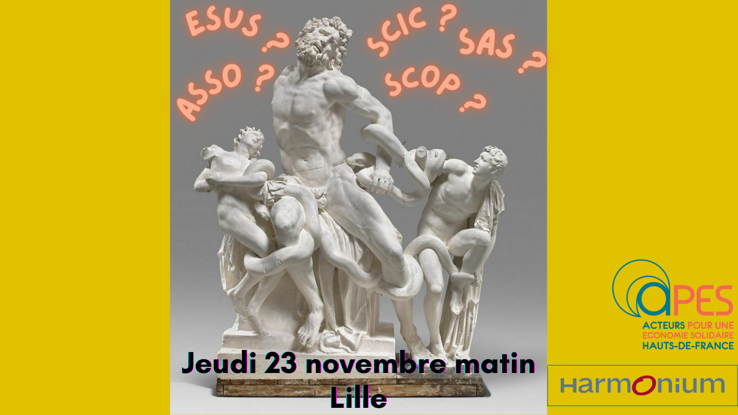 Quel est le statut le plus adapté à mon projet ESS ? Quel est le statut le plus adapté à mon projet ESS ?