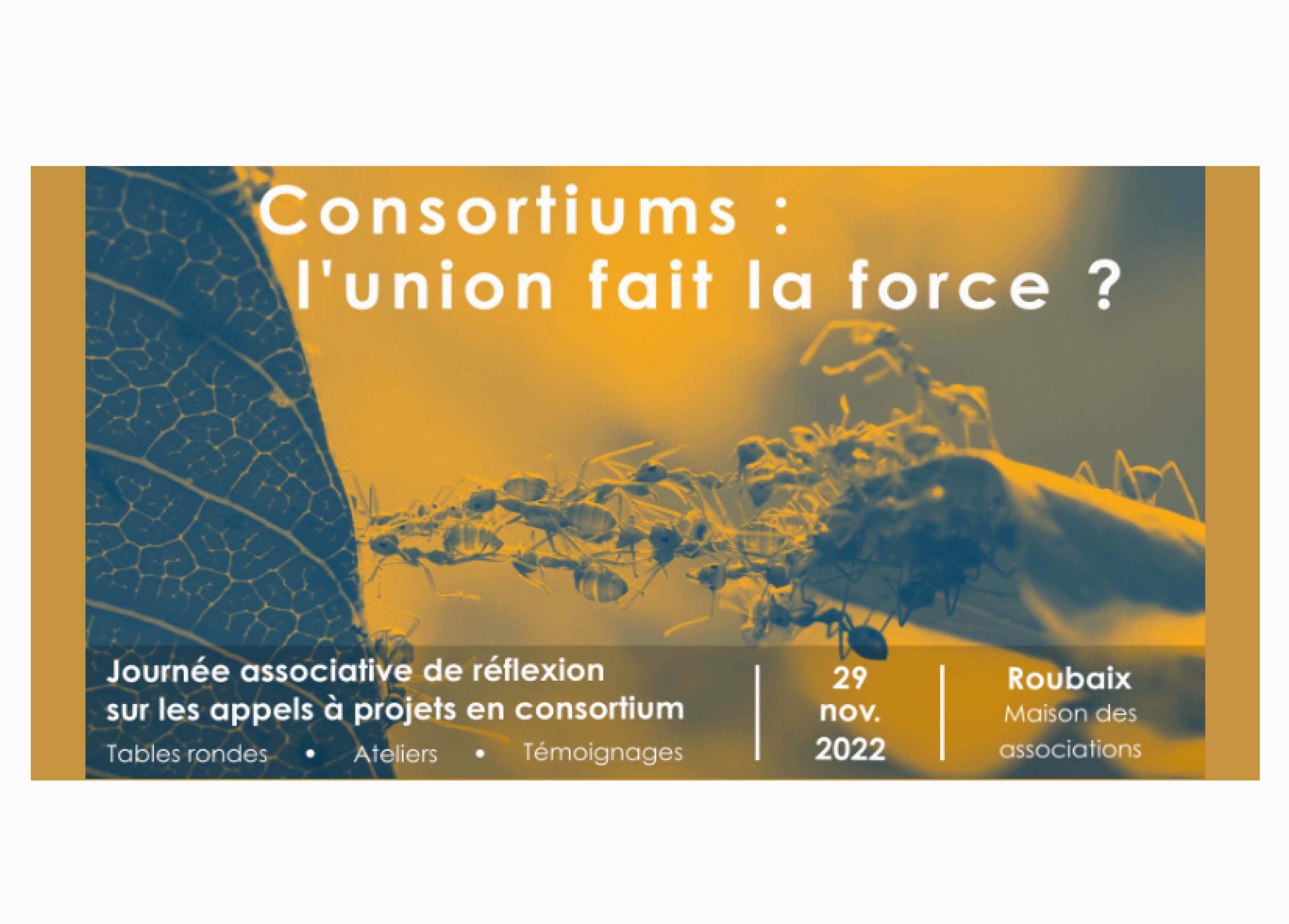 Consortium : l'union fait la force ? Séminaire sur les appels à projets en consortium Consortium : l'union fait la force ? Séminaire sur les appels à projets en consortium