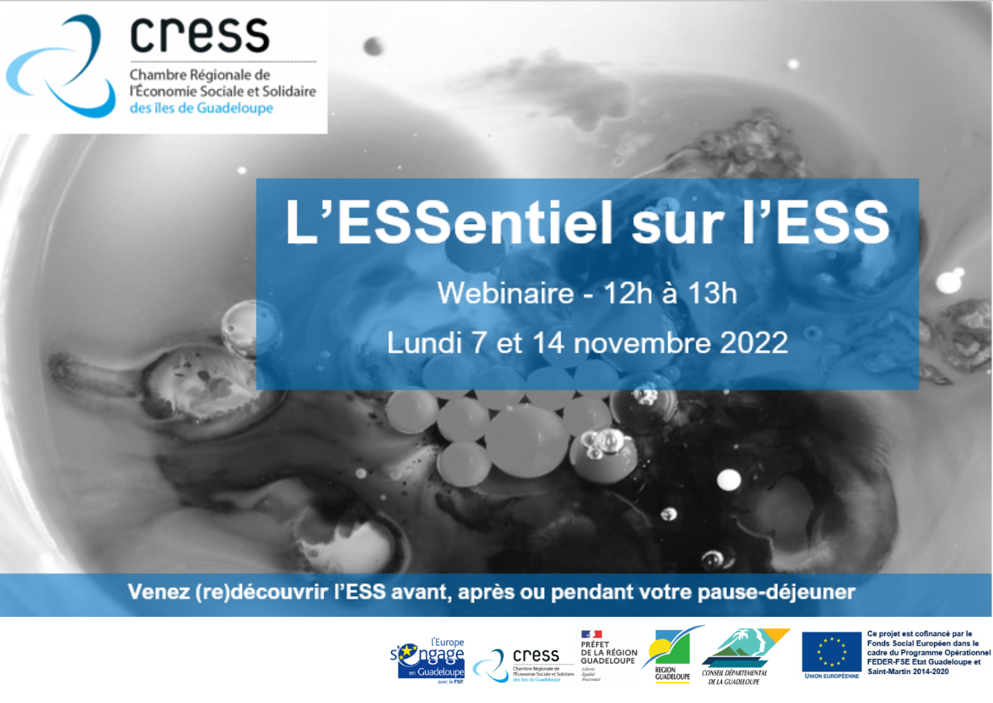 Image -L'ESSentiel de l'ESS - Webinaire lundi 7 et 14 novembre 2022