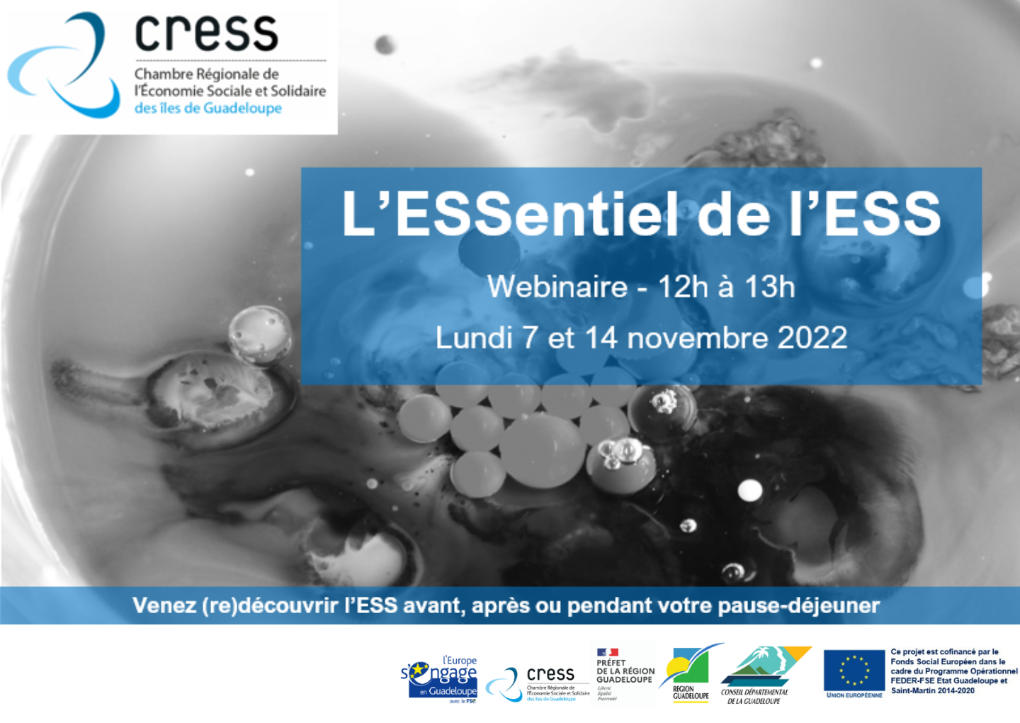 Image -L'ESSentiel de l'ESS - Webinaire lundi 7 et 14 novembre 2022