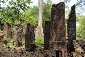 Photographie du site mémoriel Bimbia présentant des ruines dans une forêt très ancienne. 