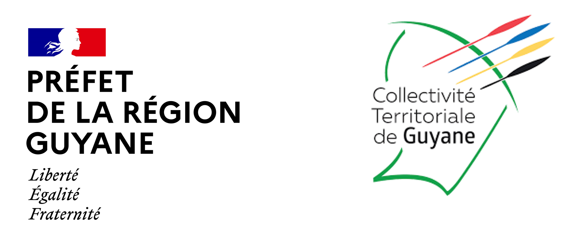 Logos Partenaires Guyane
