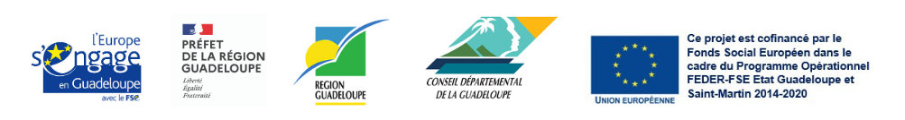 Logo partenaires CRESS Guadeloupe